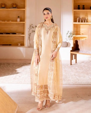 korean silk dress in pakistan 2 Piece