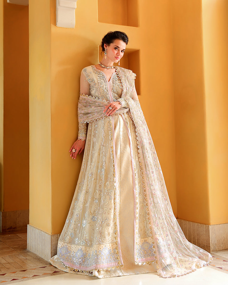 Embroidered Chiffon Dress with Jamawar – Blush Hour (MUNCH260109)
