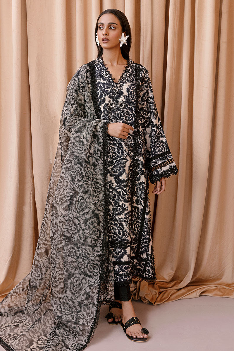 Opulent Whisper | Apricity'23 | Woman |  | Pakistani Women's Fashion