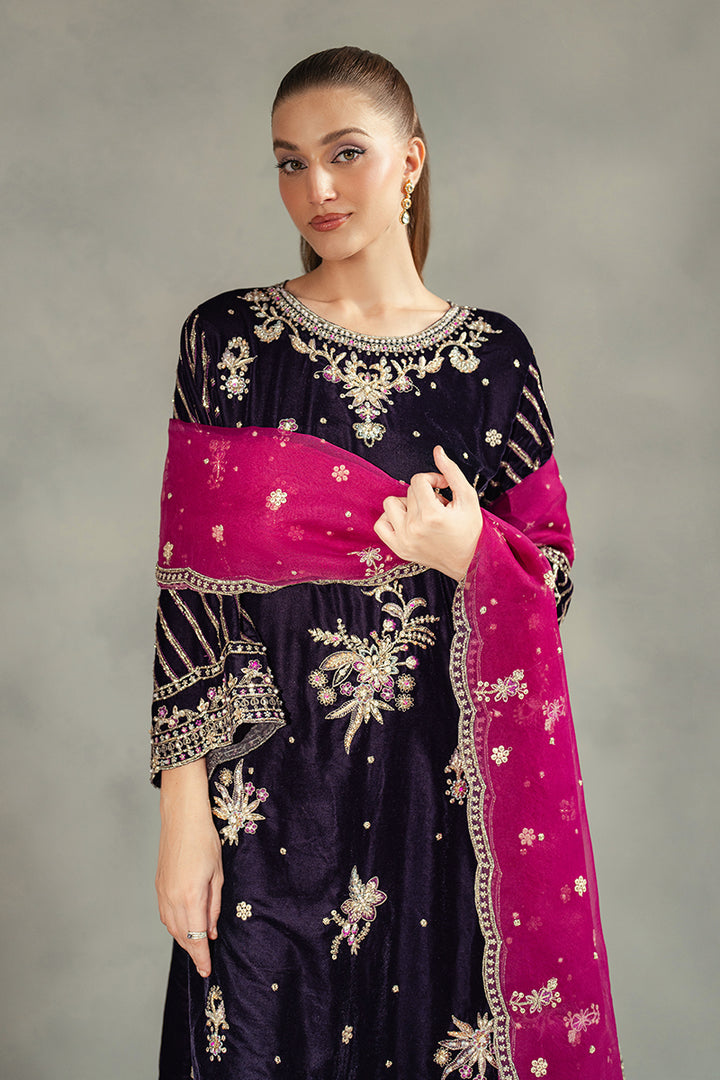 Velvet Dress Collection 2025 Pakistani Velvet Suit Designs for Women — free download